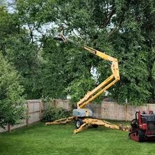 Best Lawn Watering Services  in Cumberland Head, NY
